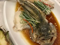 清蒸海上鲜-香港富临皇宫(扬名广场店)