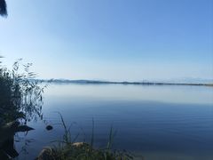 -漩门湾国家湿地公园