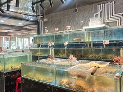 -阳江餐厅·30年老字号·粤菜海鲜大排档
