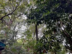 -一江春水·杭帮臻宴(三台山店)