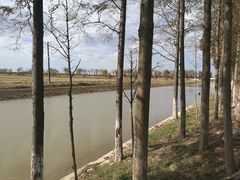 -崇明东平国家森林公园烧烤房车露营地