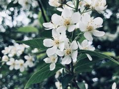 -黑龙江省森林植物园