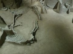 -洛阳周王城天子驾六博物馆