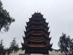 -铁山坪森林公园