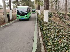 -合肥滨湖国家森林公园