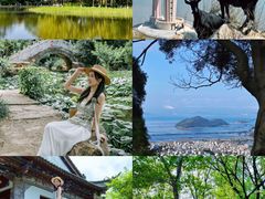 -神光山国家森林公园