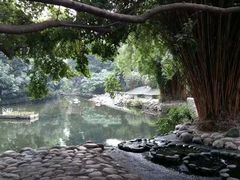 -成都市活水公园