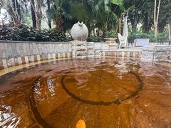 -碧水湾温泉