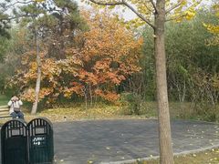 -紫竹院公园冰场