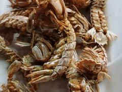 -桔子海鲜烧烤大排档(金沙滩店)