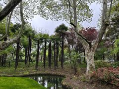 -红梅公园