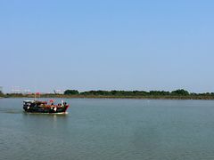 -大湾区中央湿地公园-十九涌