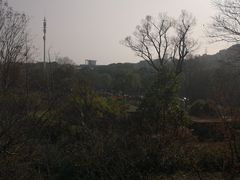 -宝界山林公园