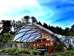 -怀托摩萤火虫洞