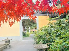 -慧因高丽寺