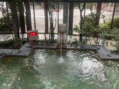 -张家港金凤凰度假村温泉