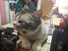 -小时光咖啡馆(开森度假森林店)