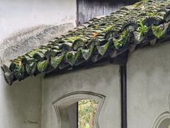 -上海醉白池公园