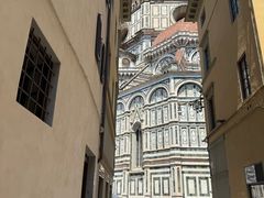 -圣母百花大教堂穹顶