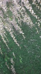 -盘子女人坊古装写真摄影(天津总店)