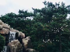 -燕塞湖鸟语林景区