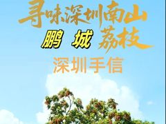 -鹏城八珍深圳特产手信(罗湖店)