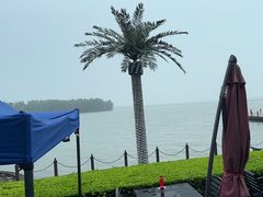 -太湖龙之梦