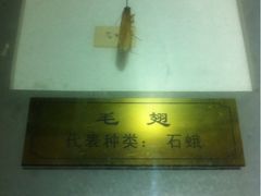 iphone_upload_pic-上海昆虫博物馆