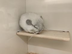 -龙猫仔乐园(惠福东路店)