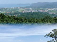 -亚龙湾热带天堂森林公园