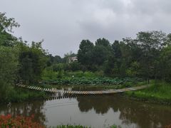 -黄陂区野村谷景区
