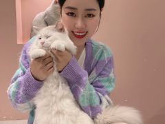 -猫儿山۰猫主题餐厅