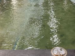 -光头佬室内钓虾场·烧烤·团建·亲子(中山八路店)