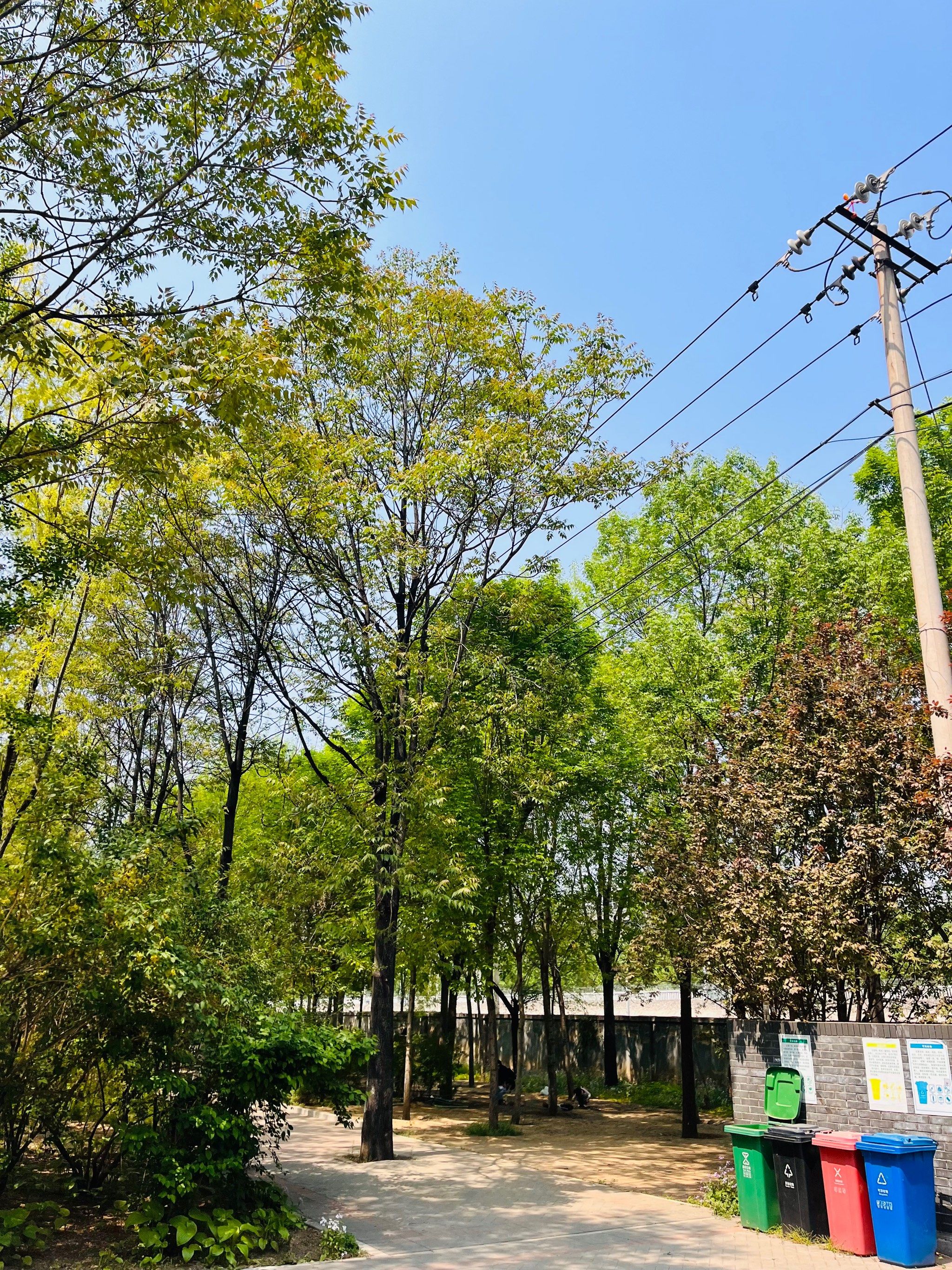 百子湾休闲公园