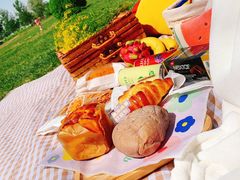 -天津武清北运河郊野公园房车露营地