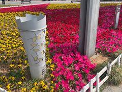 -云龙湖旅游景区