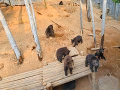 -泉州海丝野生动物世界