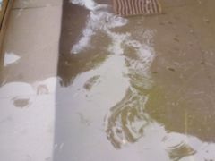 -咸宁万豪温泉谷度假区