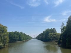 -上海海湾国家森林公园