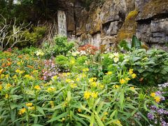 -深圳仙湖植物园