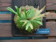 -国家植物园南园