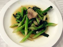 -蝶苑(吴江路店)