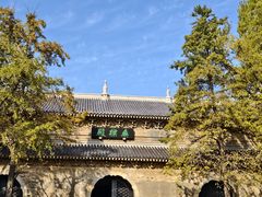 -灵谷景区