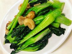 -禄興記香港大排档(歌斐中心店)