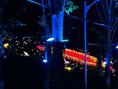 -水上乐园·欢乐世界