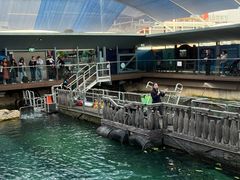 -悉尼海洋生物水族馆