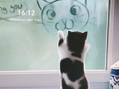 -学习谷日语培训日本留学·多语种外语教学(海淀人大分部)