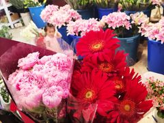 -双季花艺园艺市场(浦东店)