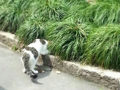 -徐家汇源景区-衡山公园