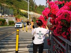 -小南山公园